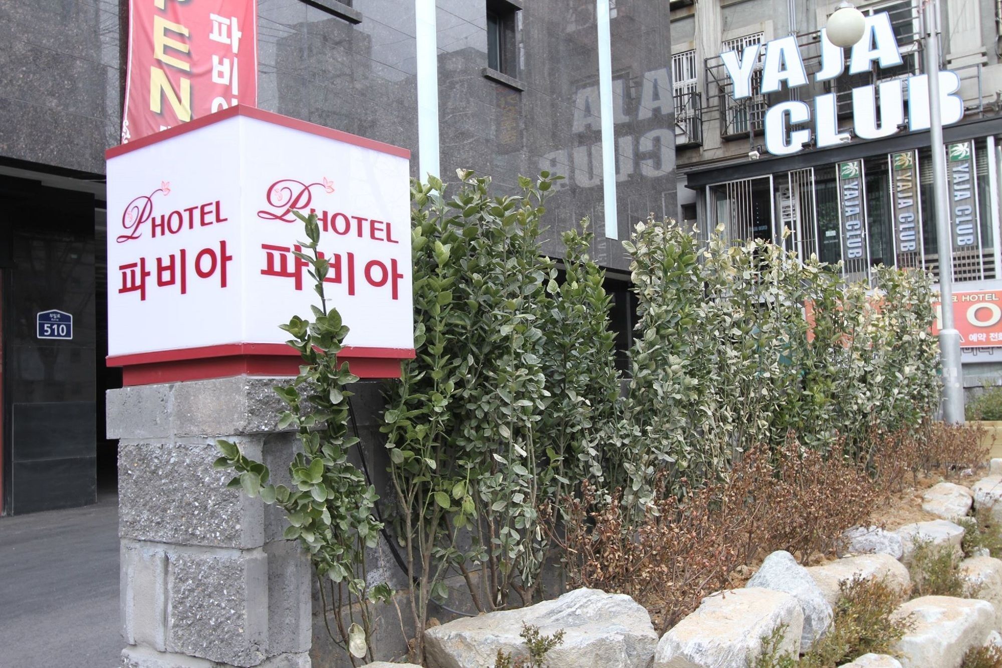 בוצ'און Hotel Pavia מראה חיצוני תמונה